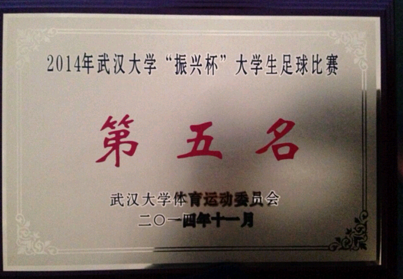 “文”里“文”外，同样精彩——记公司勇夺振兴杯足球第五名、排球“4+2”亚军